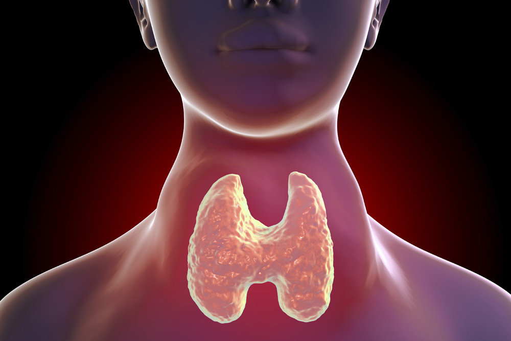 Endocrinologue quel est son rôle et pourquoi le consulter
